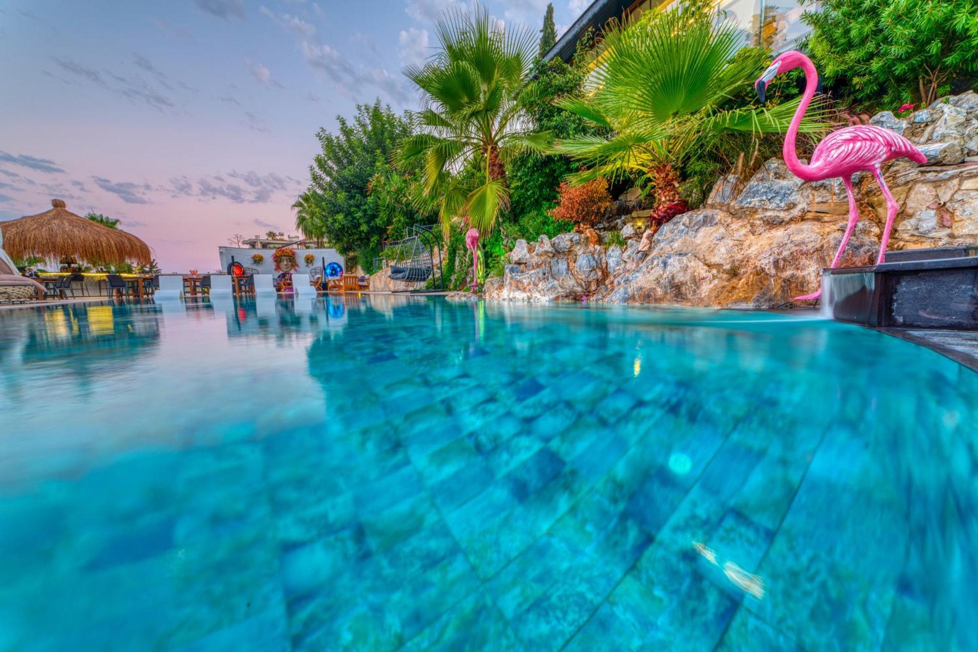 Отель Illusion Clubhotel Only Adult Алания